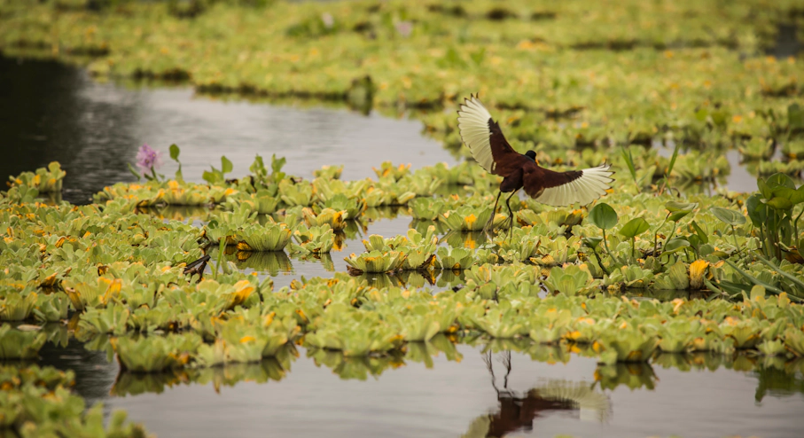 Amazonía (4 días) en Leticia Amazonía colombiana