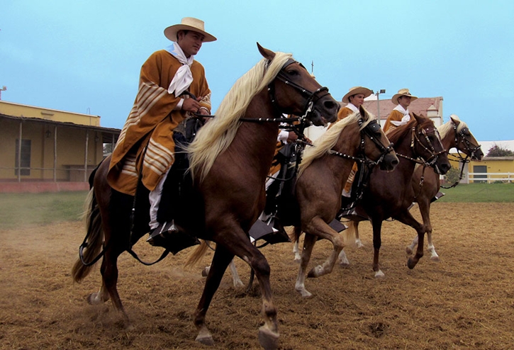 Hombres en caballos