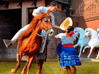 Imagen Show Caballo Peruano de Paso en Lima Show Caballo