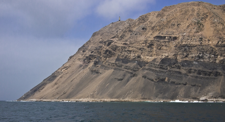 Callo en la Costa del Pacífico