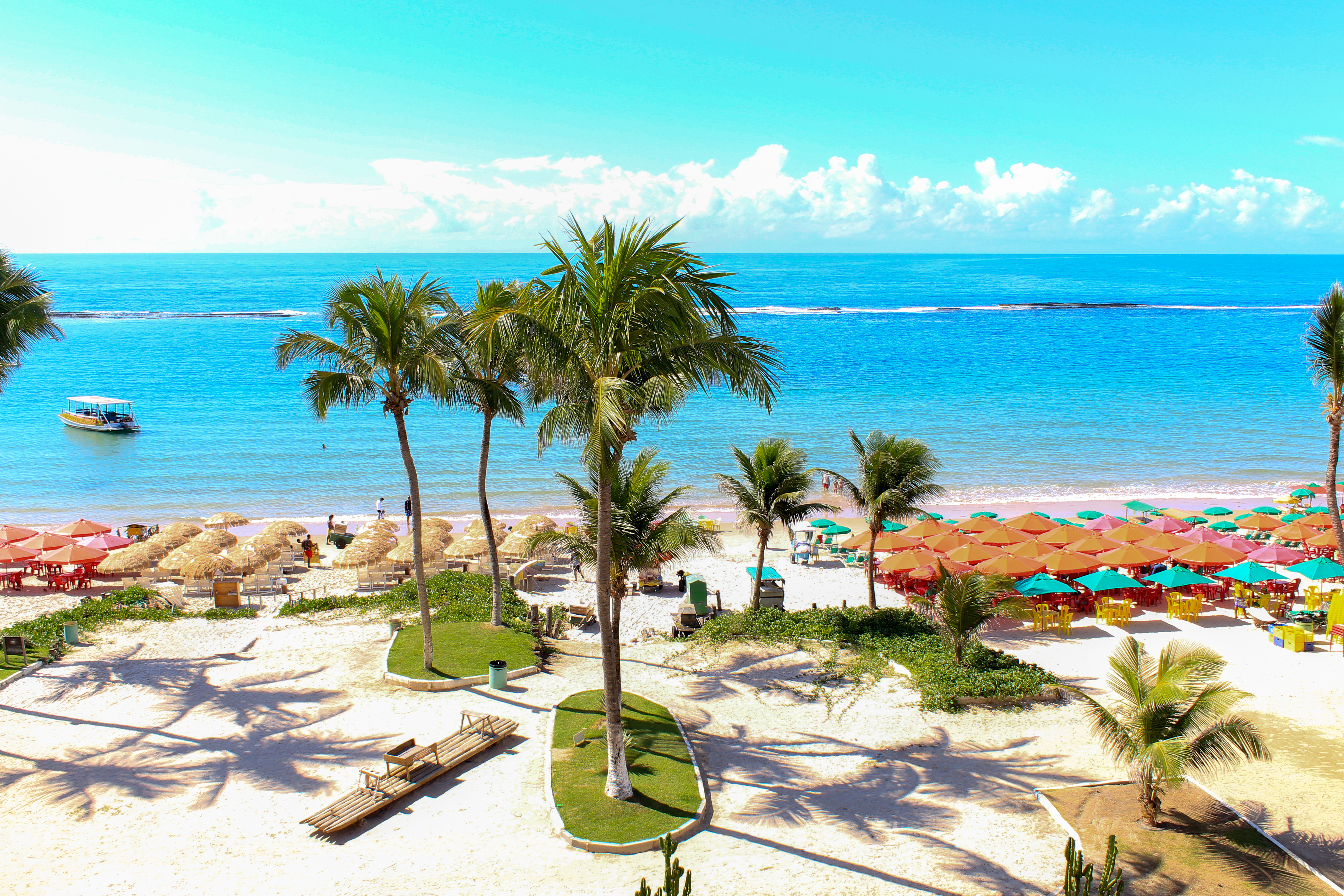 Palmeras en Praia do Francês