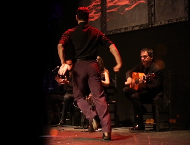Bailaor de flamenco