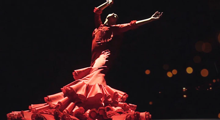 Espectáculo de Flamenco