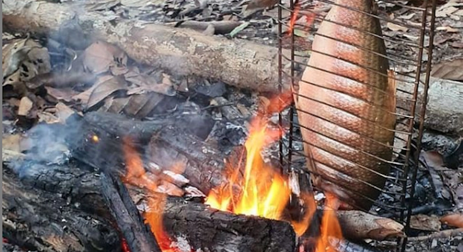 Pez asado Pez asado al fuego