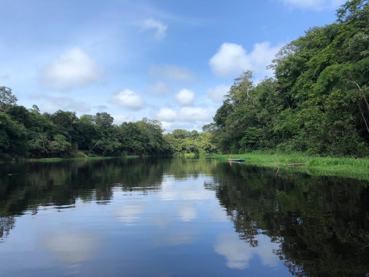 Río en el Amazonas