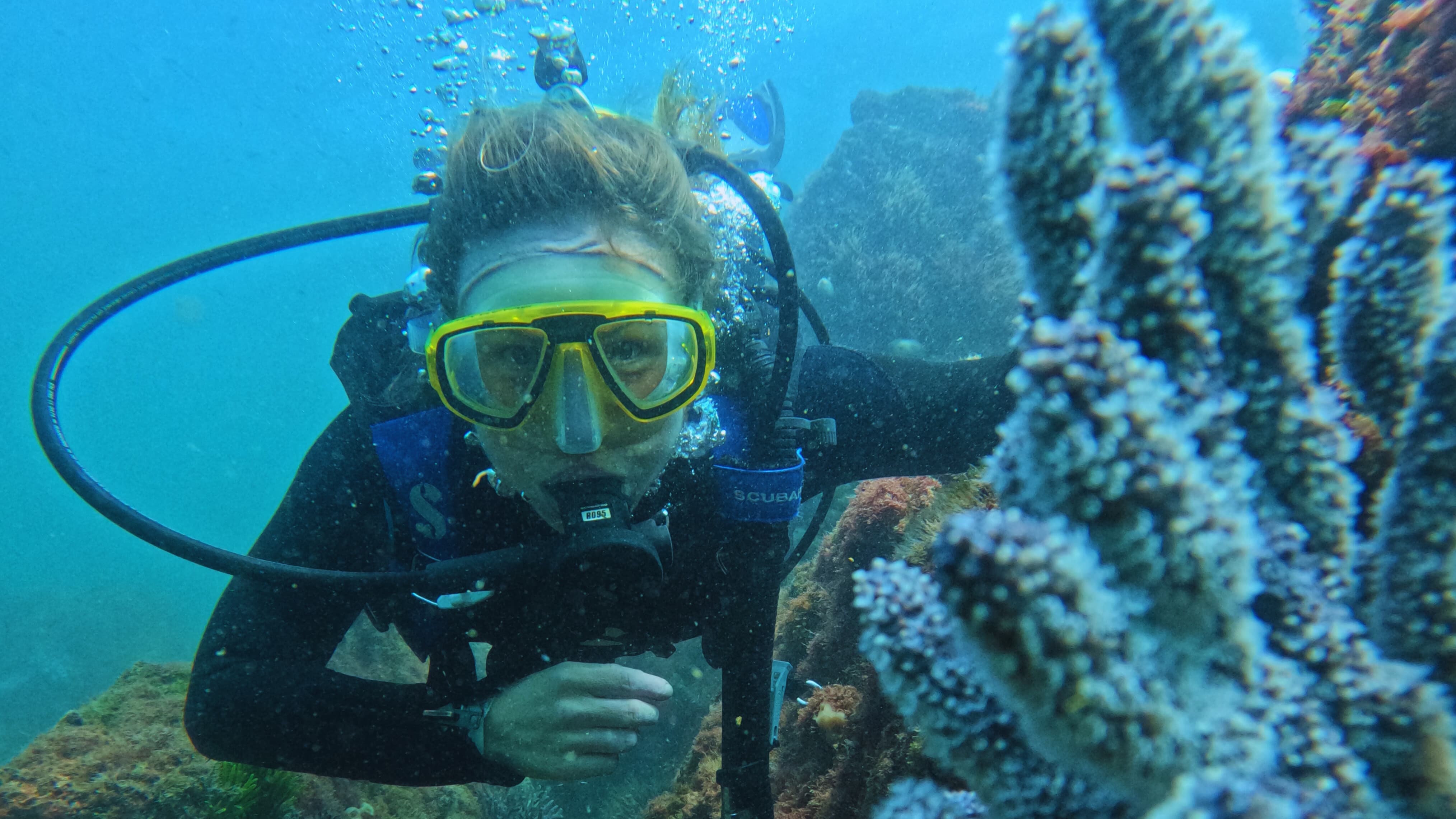 Discover Scuba Diving