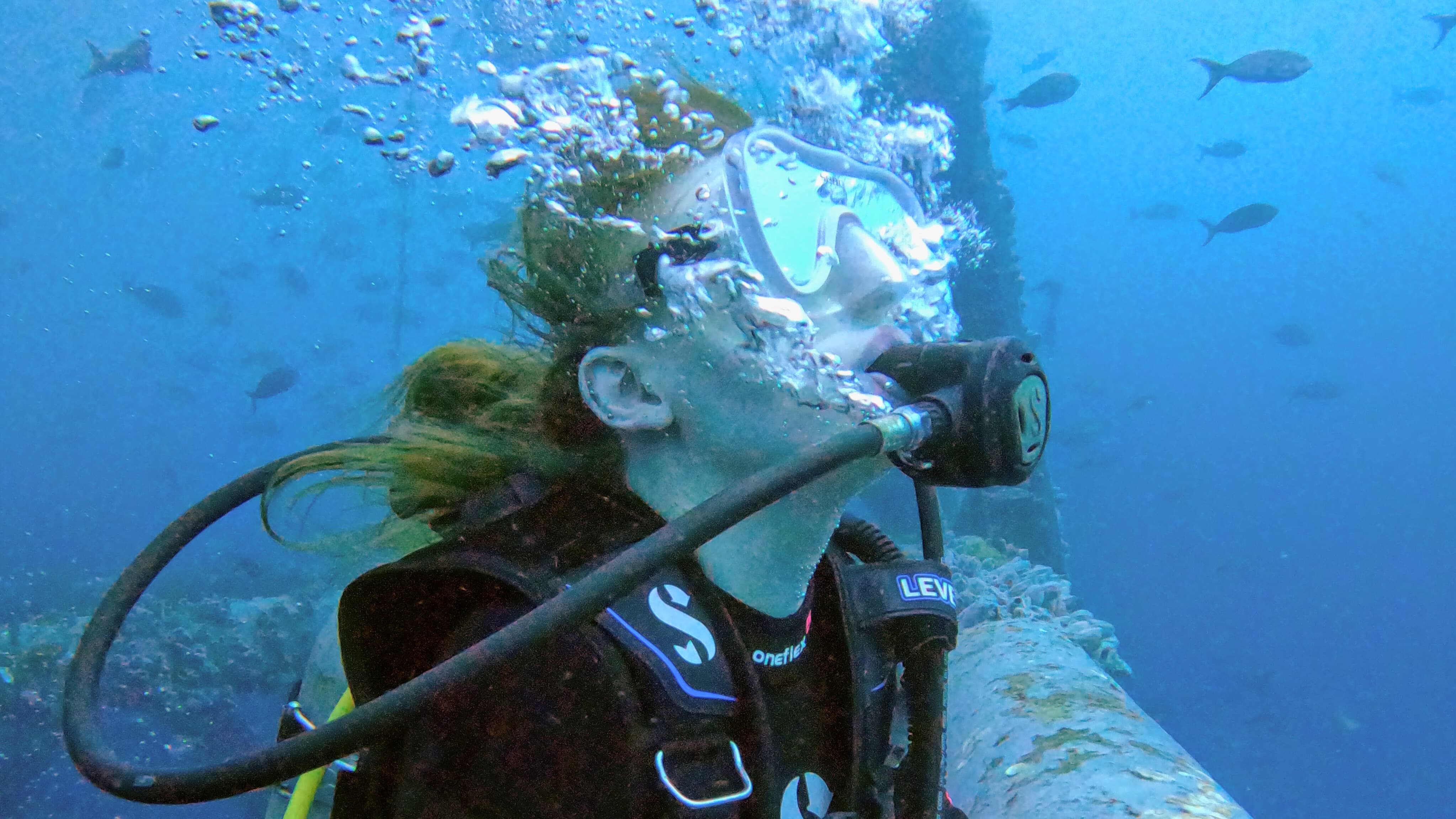 PADI Open Water Course (3 days)