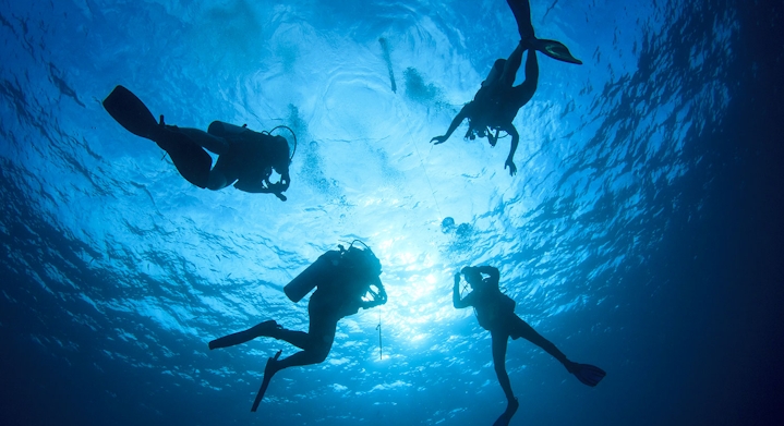 Scuba diving in the Pacific Ocean