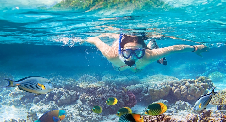 Boat Ride and Snorkeling