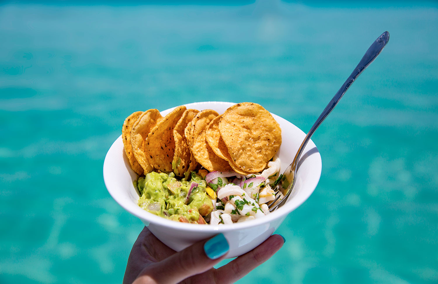 Ceviche