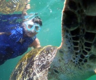 Nado con Tortugas y Playa Punta Veleros