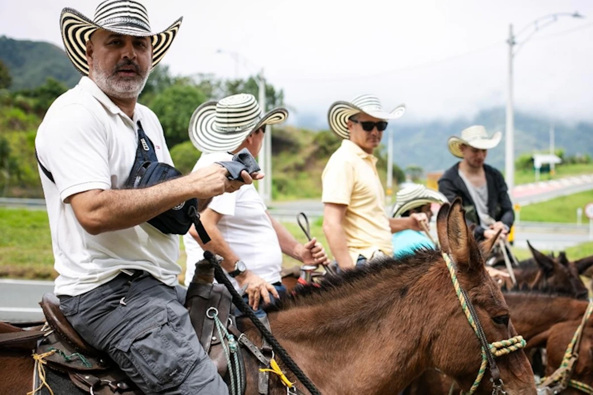 Tour café Tour café