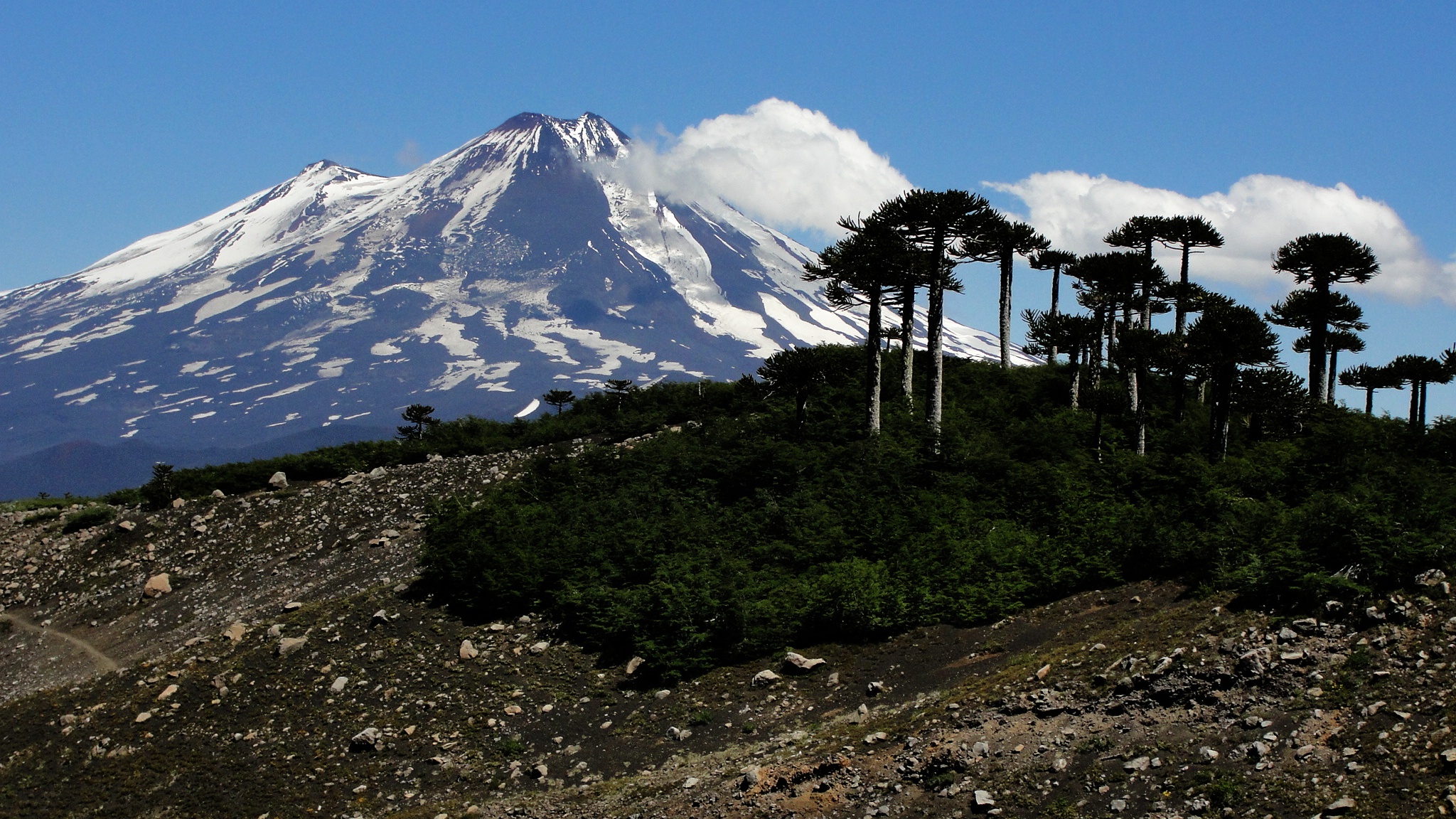 Sendero volcán Sierra Nevada