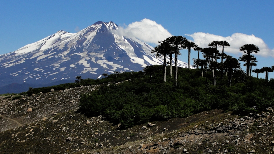 Sendero volcán Sierra Nevada