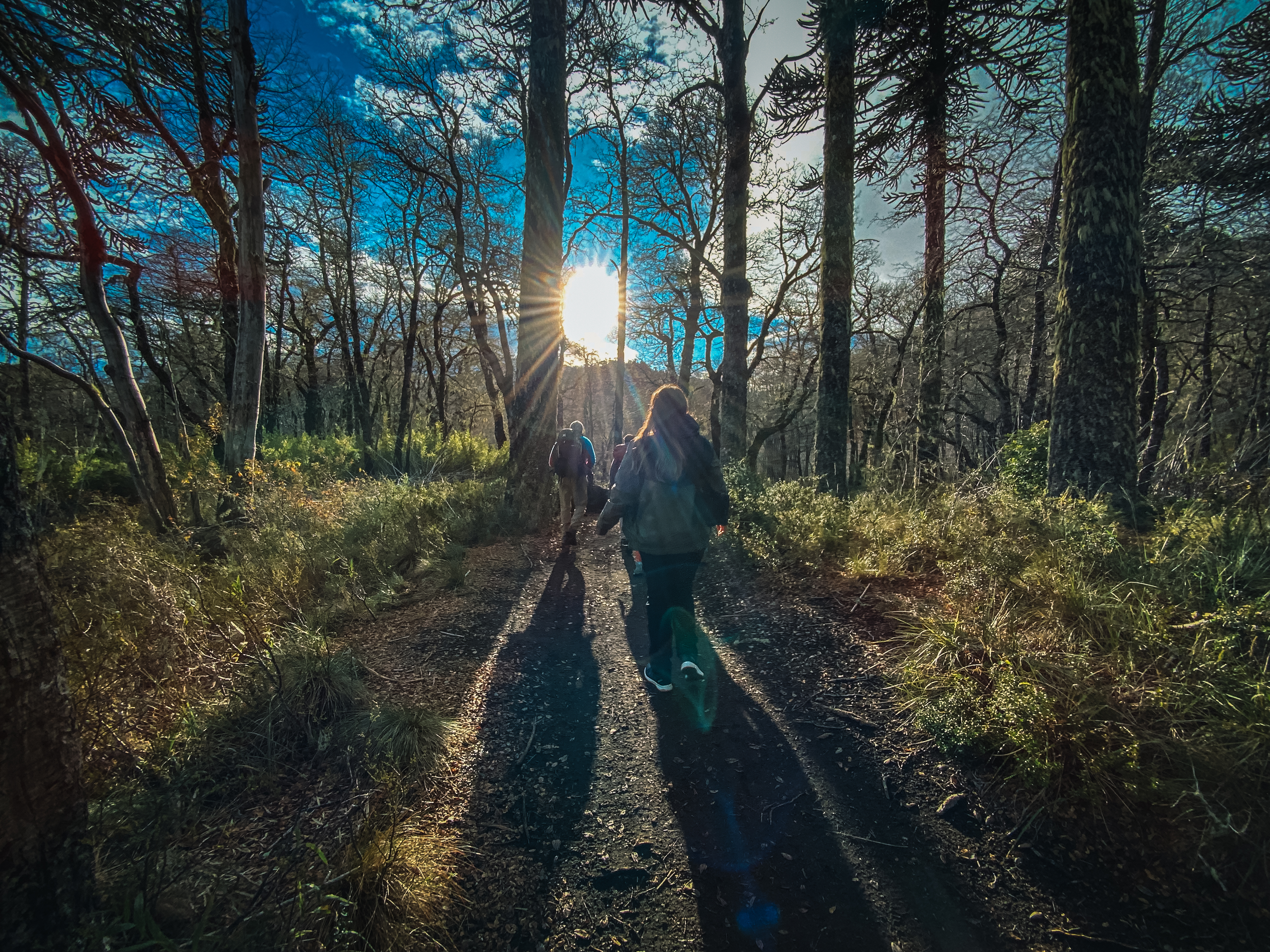 Parque nacional Conguillío