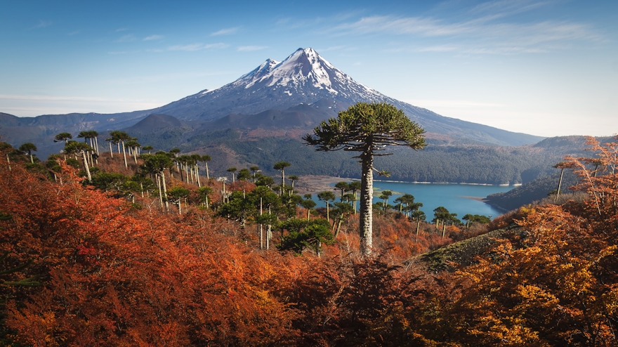 Volcán Llaima