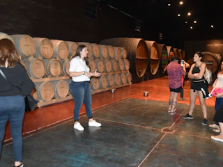Imagen Tour de Viñedos y Bodegas en Mendoza Bodegas