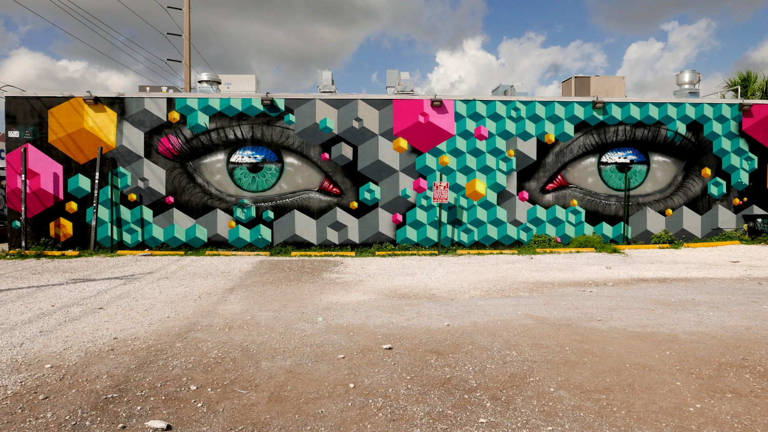 Wynwood Art District