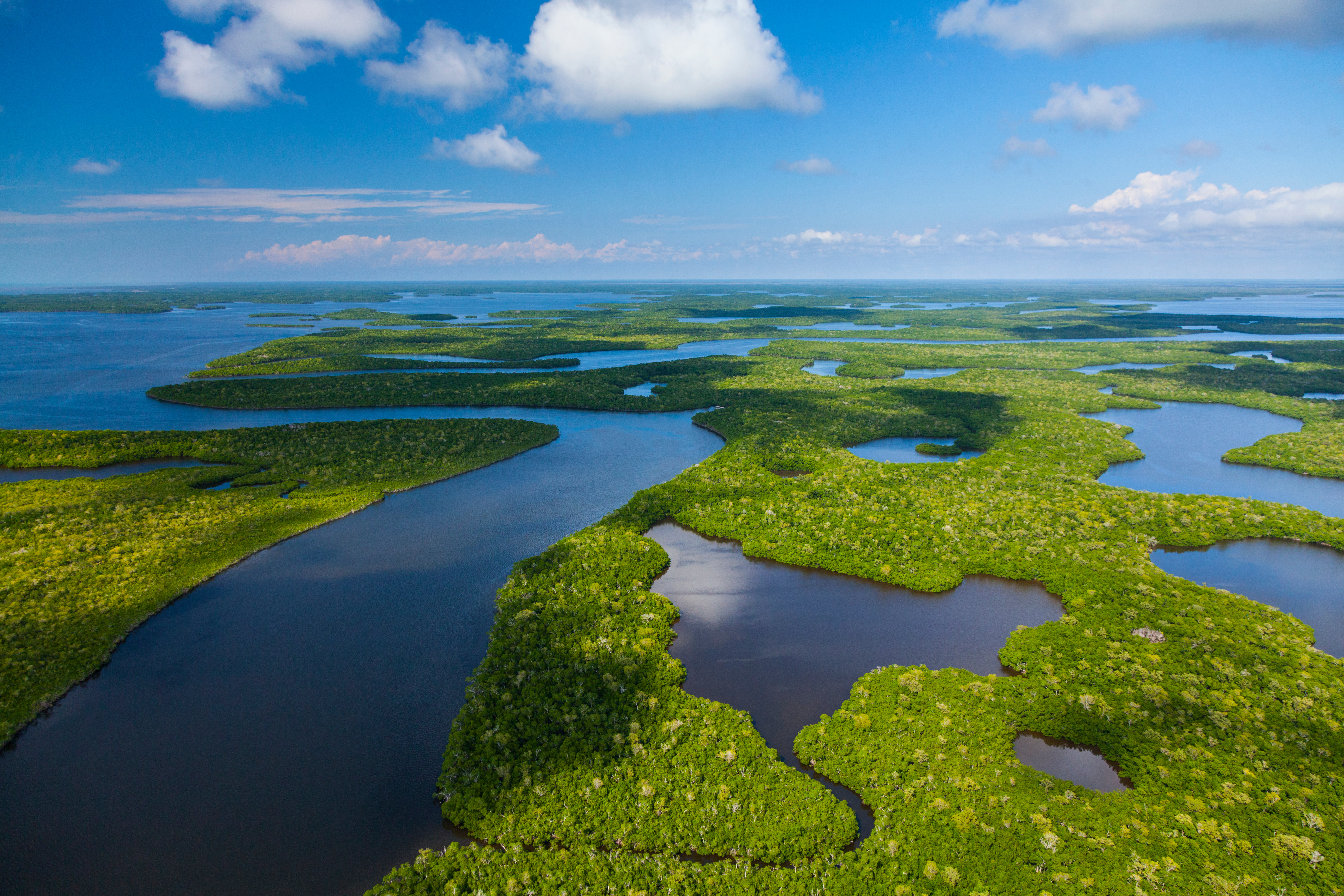 Parque Nacional de los Everglades