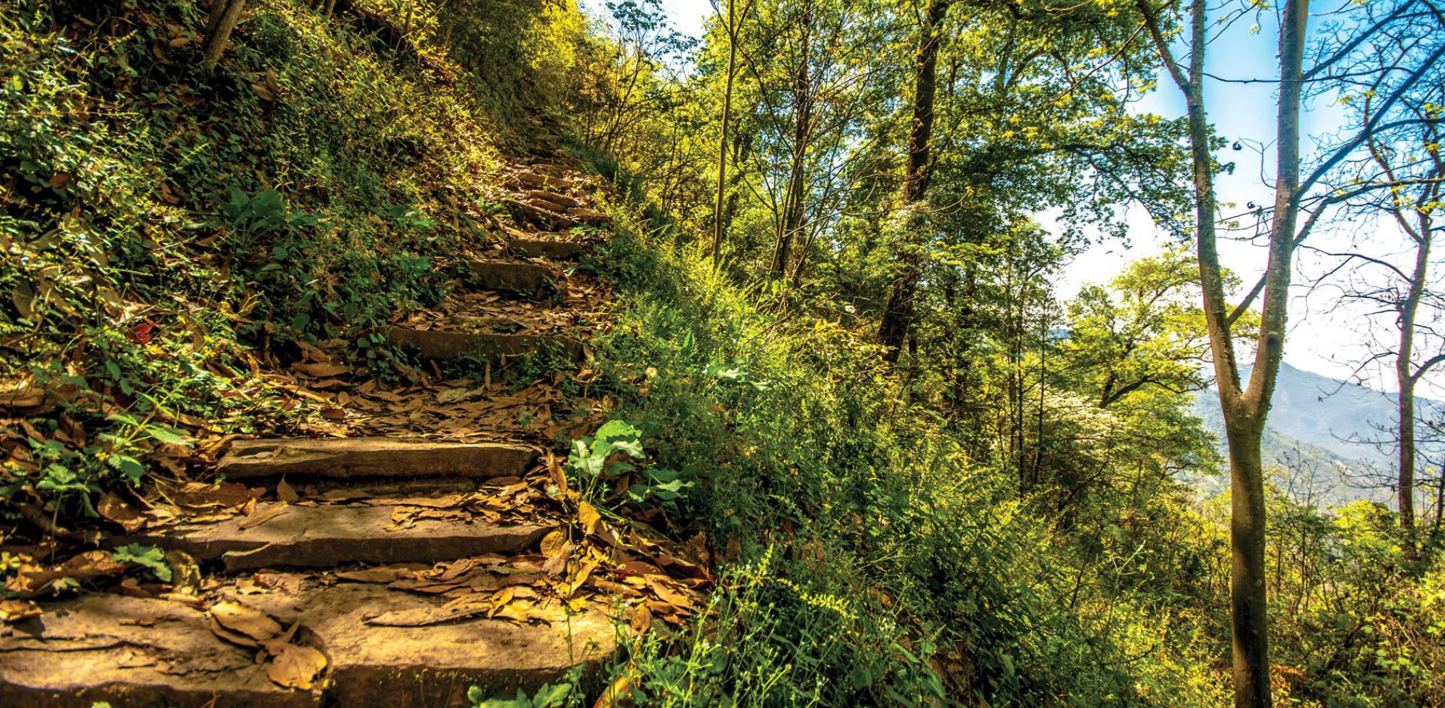 Parque Ecológico Chipinque