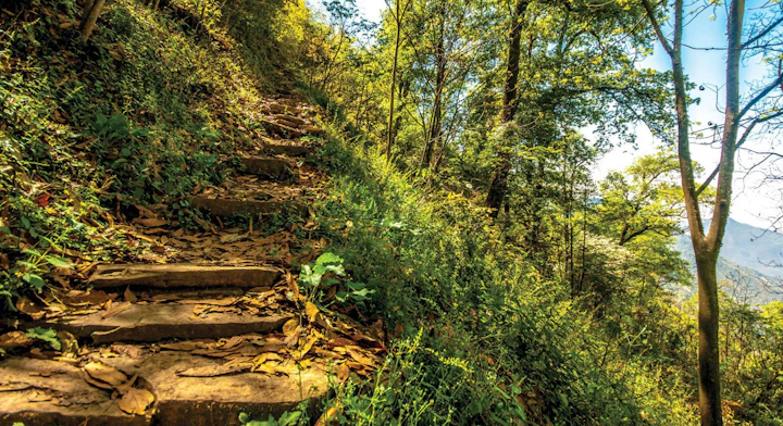 Parque Ecológico Chipinque