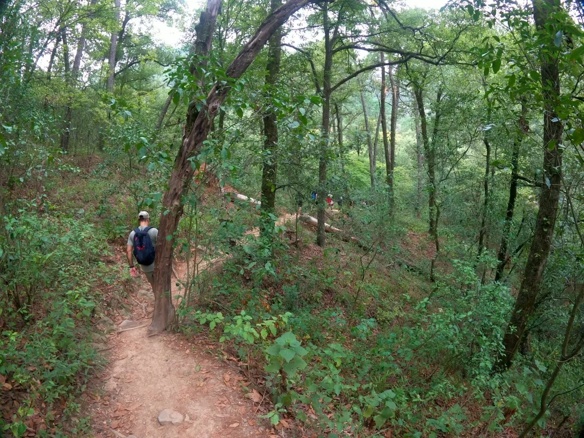 Personas haciendo trekking