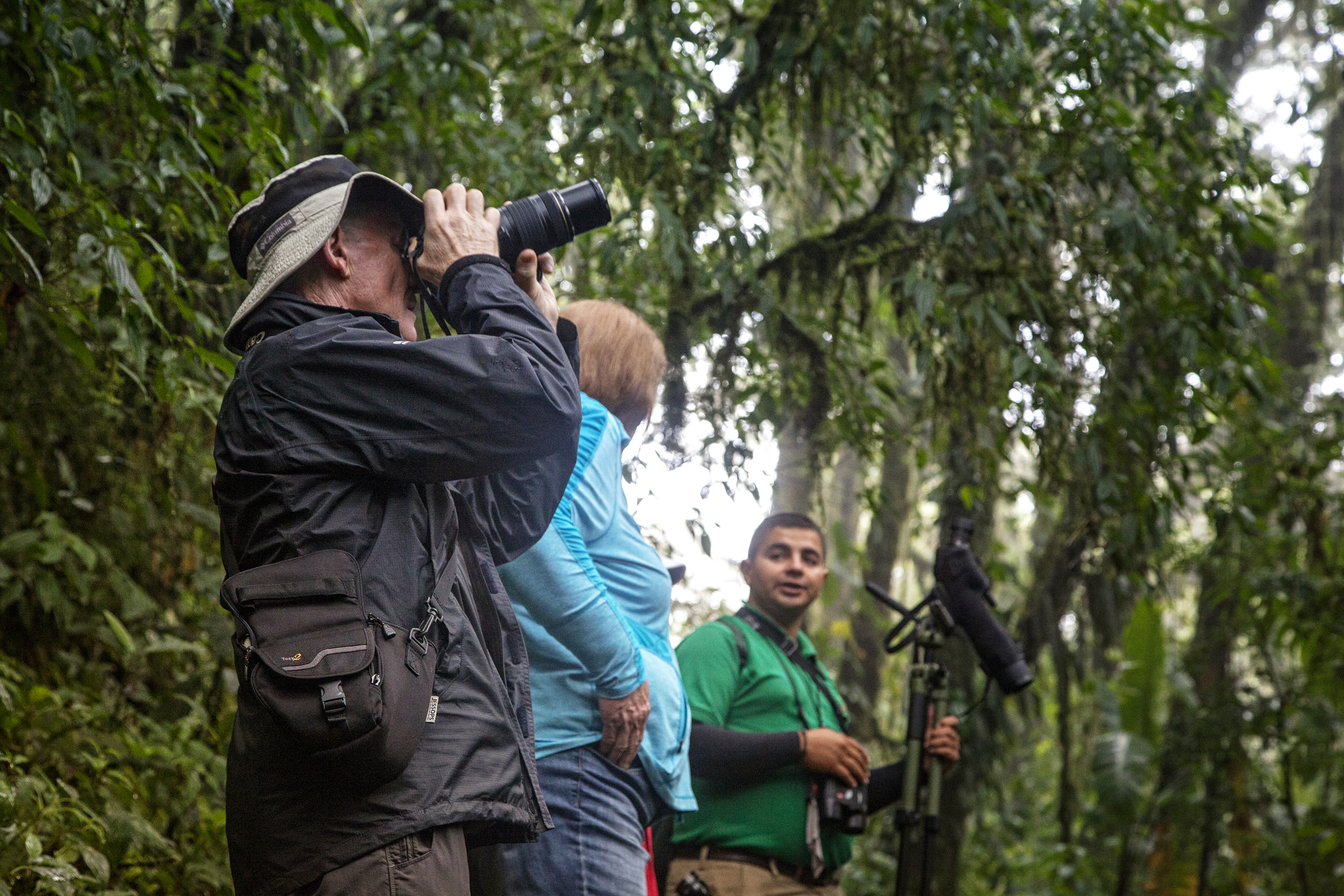 Personas observando fauna