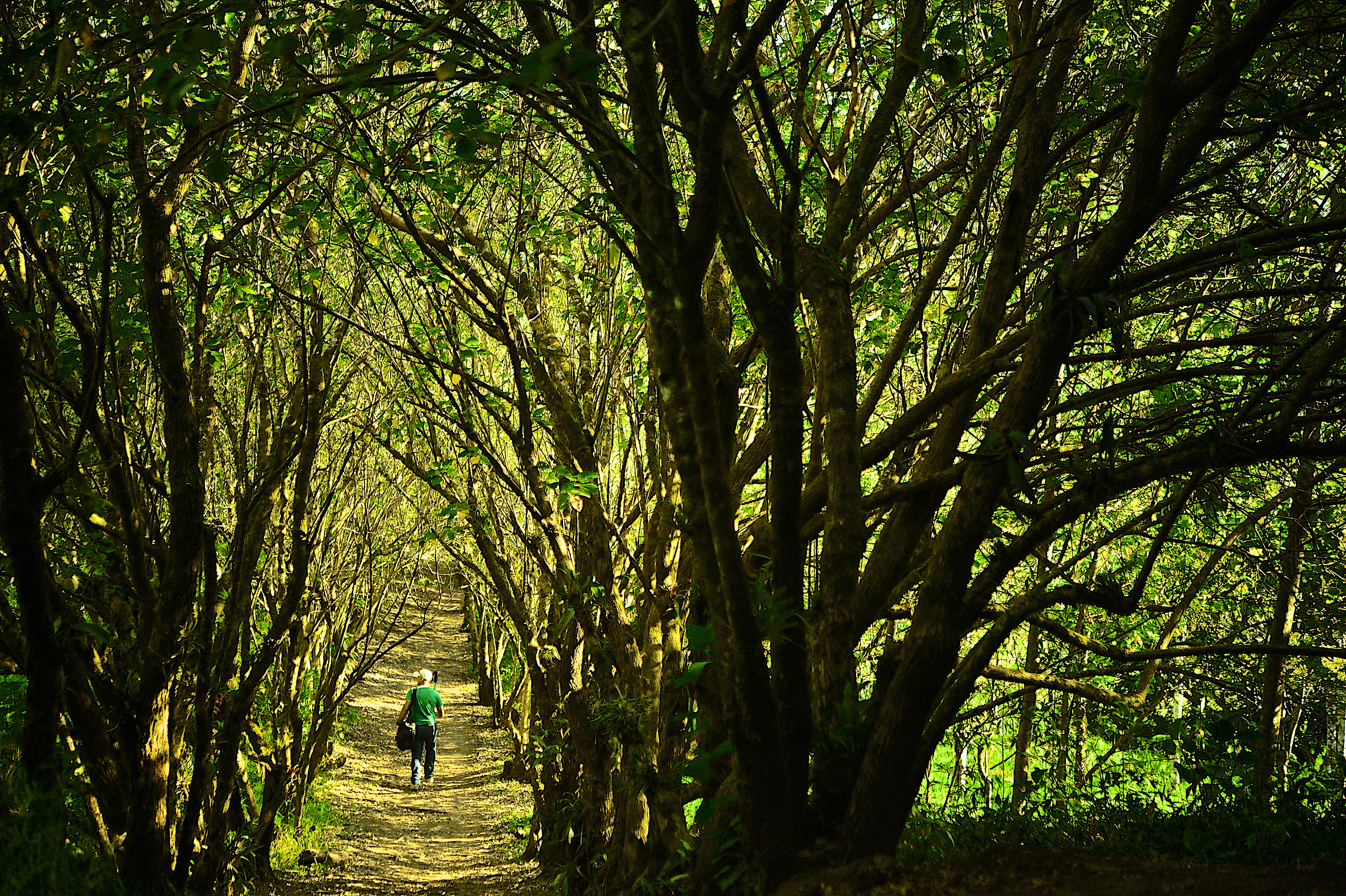 Persona caminando en Reserva Curi-Cancha