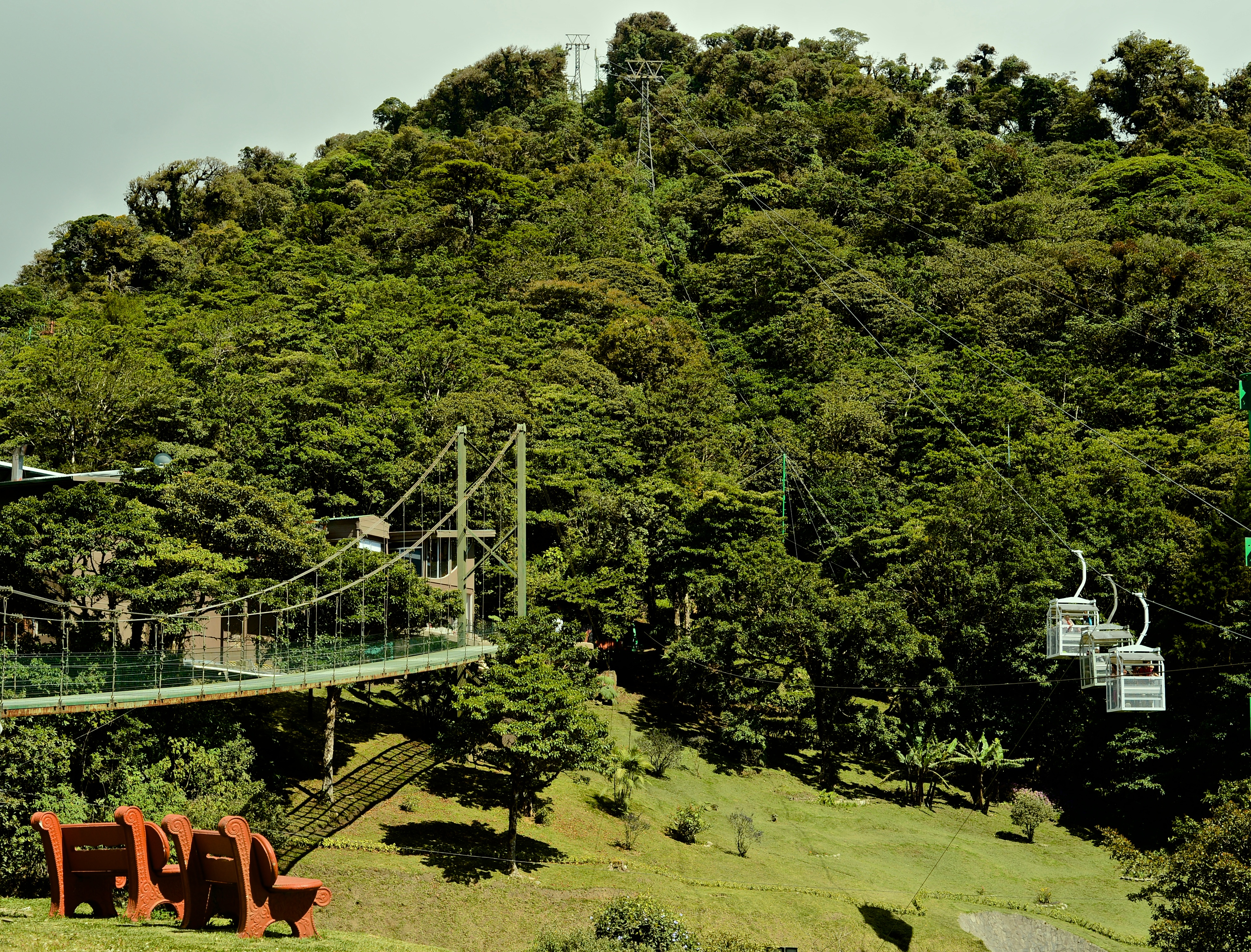 Vista de puentes colgantes