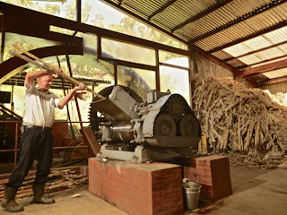 Trapiche Caña de azúcar en el trapiche