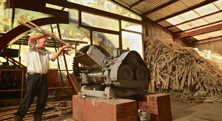 Caña de azúcar en el trapiche