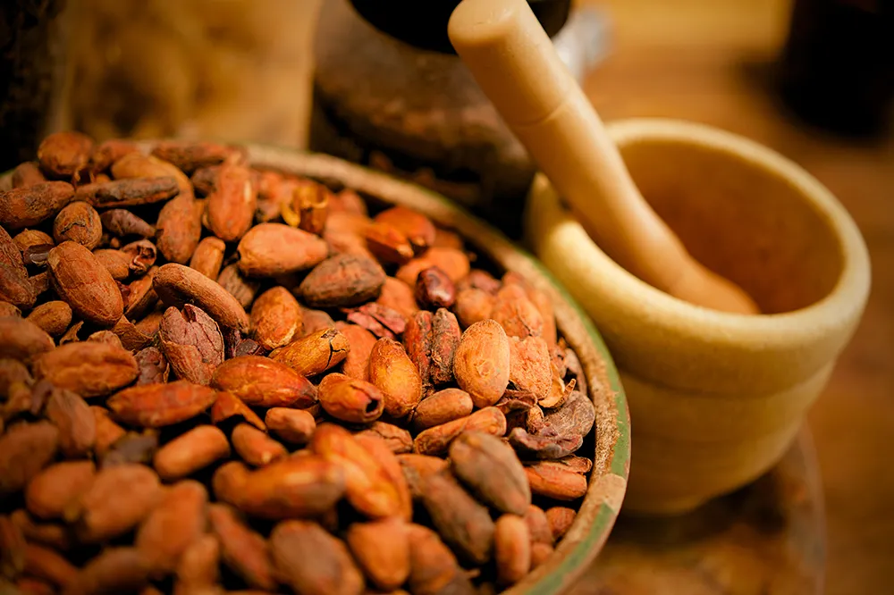 Granos de cacao
