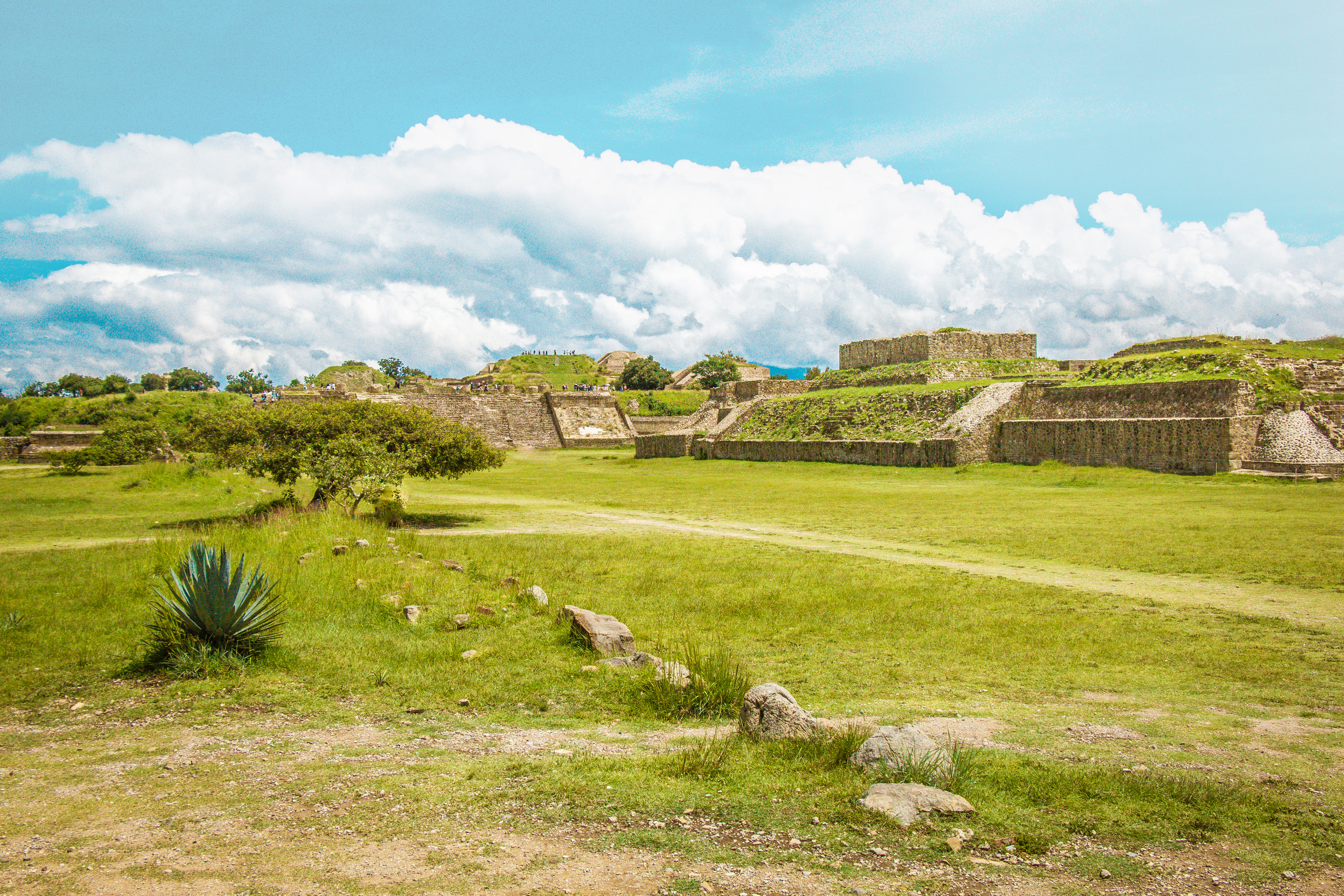 Monte Albán