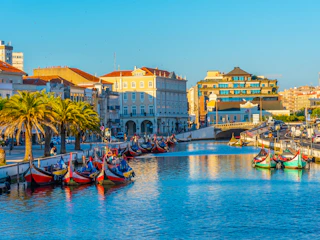 Imagen Excursión a Aveiro y a la Playa de Costa Nova en Oporto Moliceiros en Aveiro