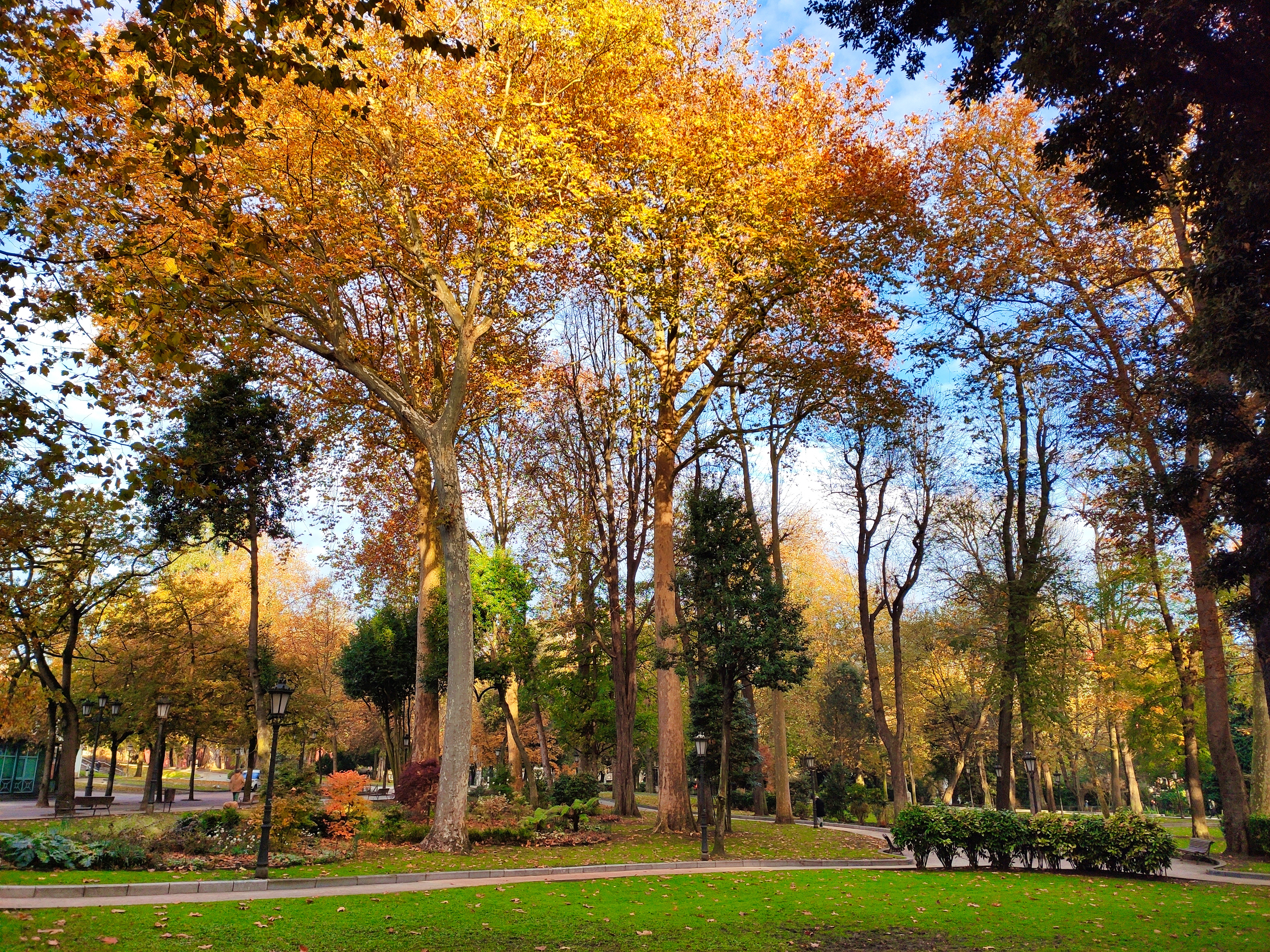 Parque San Francisco