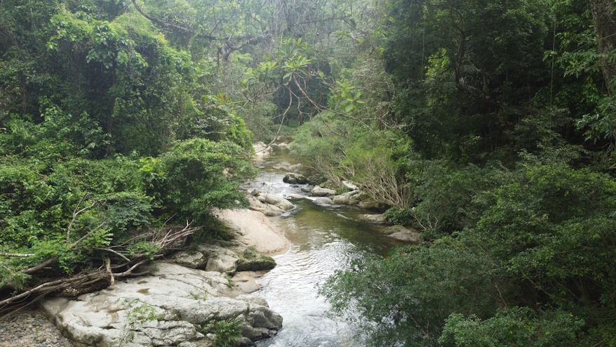 Río Palomino