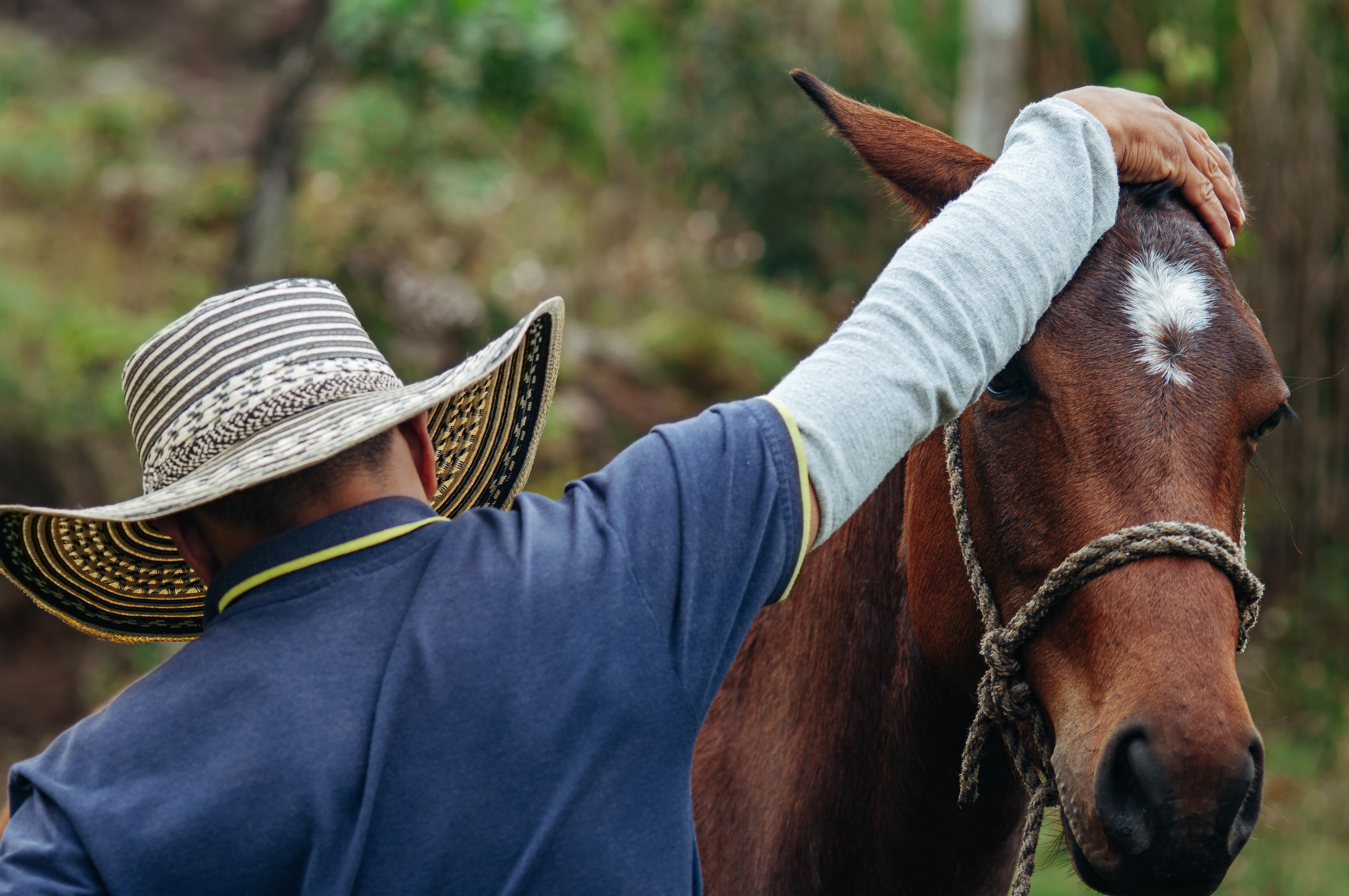 Hombre y caballo