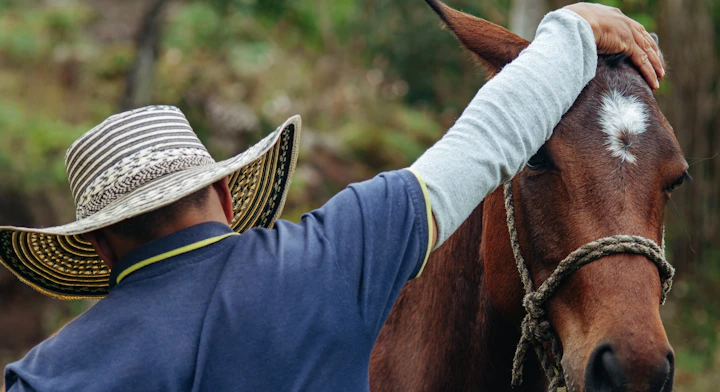 Hombre y caballo