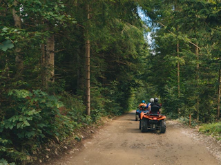 Imagen Palomino en Cuatrimoto ATV en Palomino Cuatrimoto