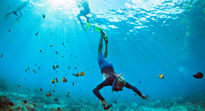 Snorkel Adventure