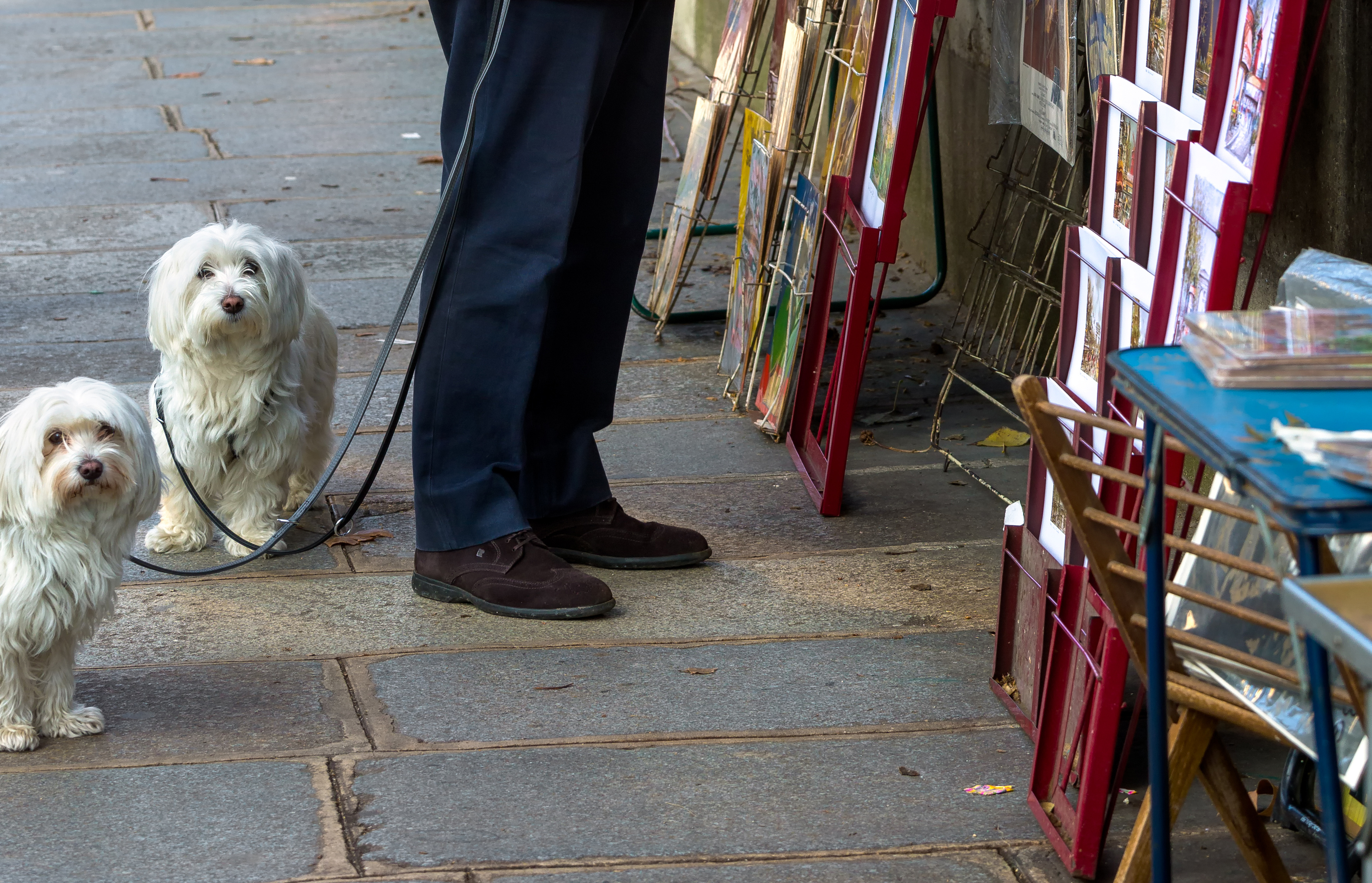 Persona en una tienda