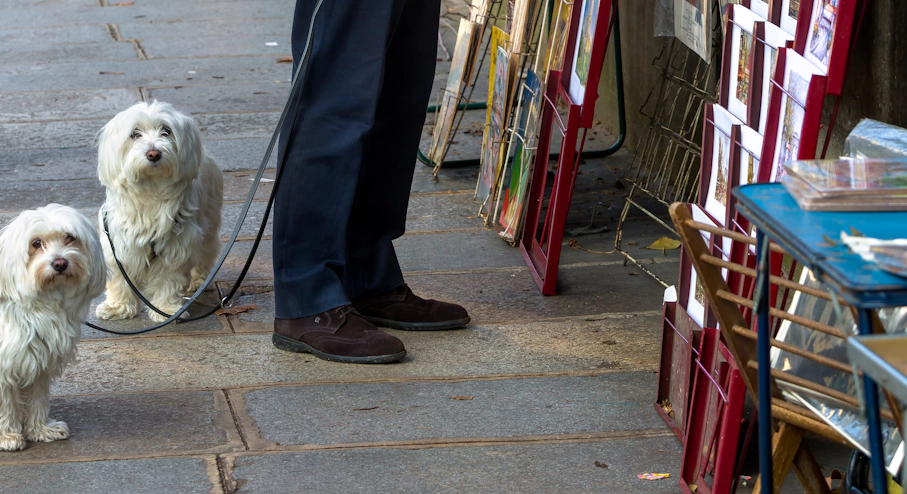 Free Tour Películas en París Persona en una tienda