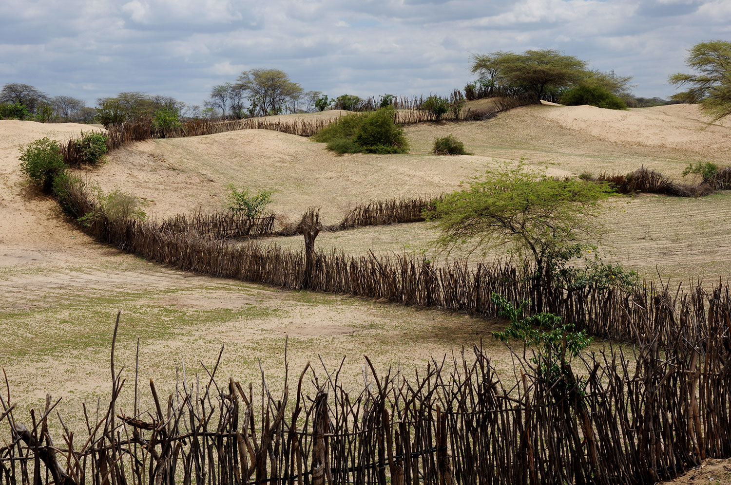 Paisaje alrededor de Piura