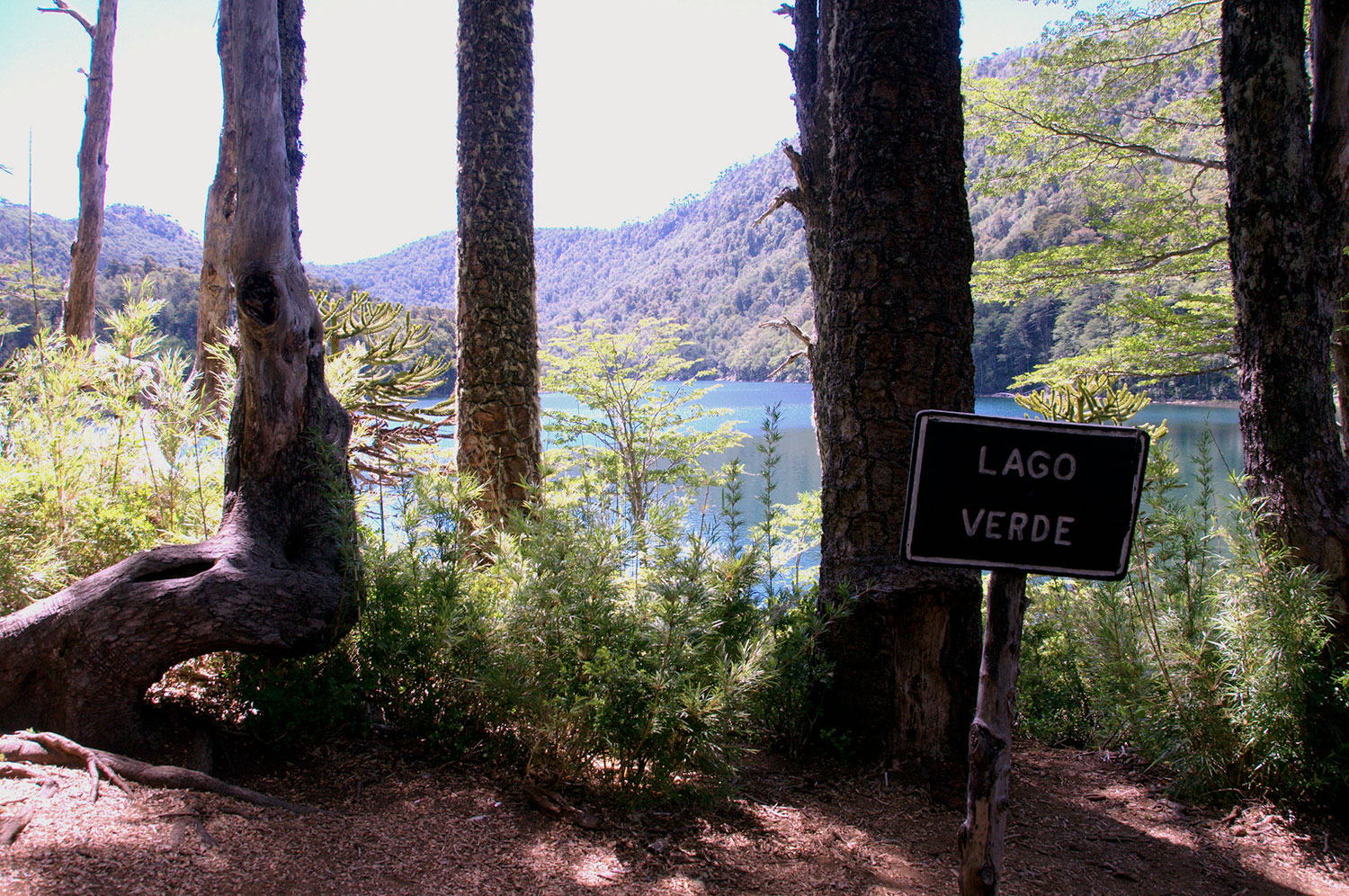 Lago Verde entre los árboles