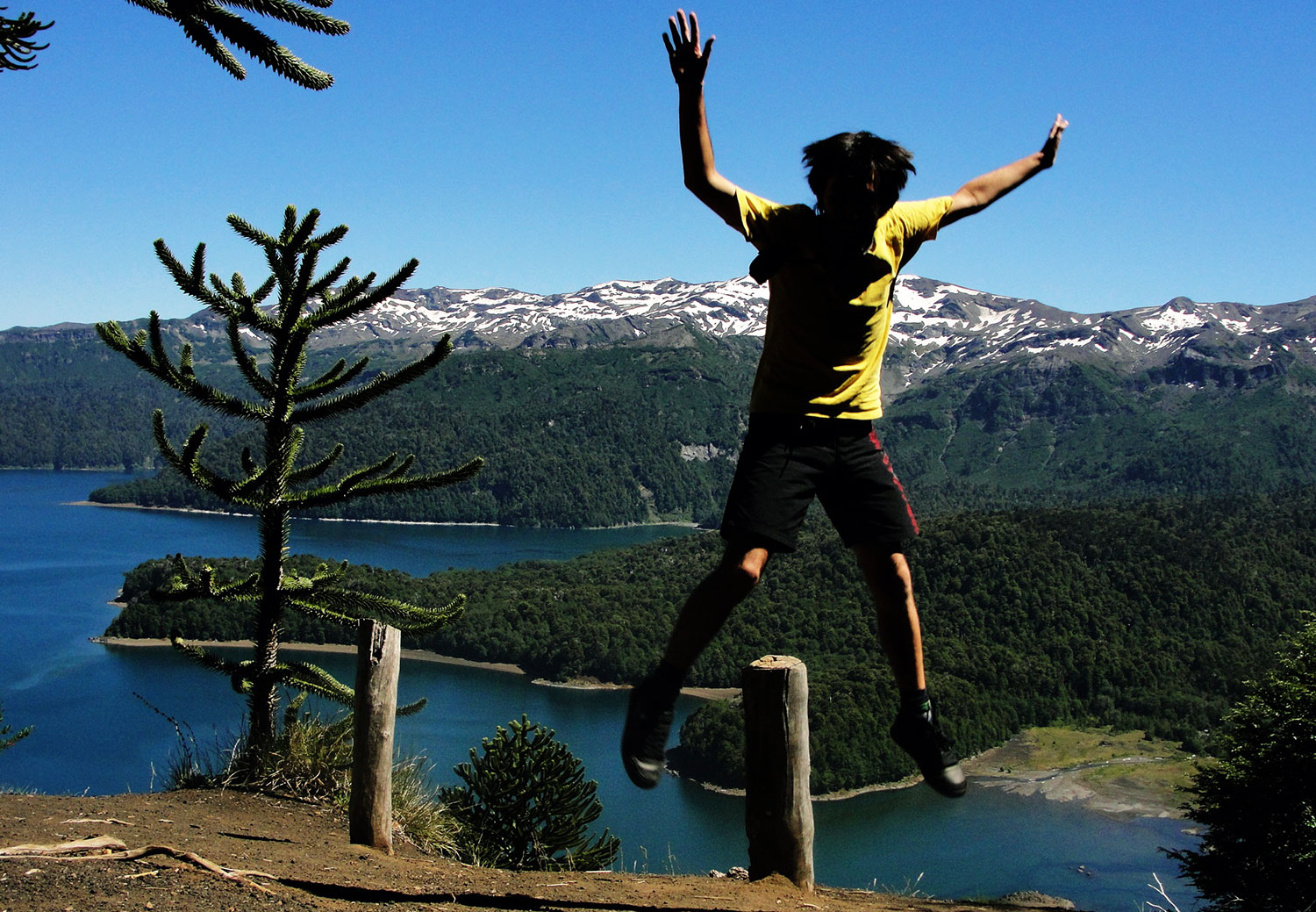 Persona saltando en parque Conguillío
