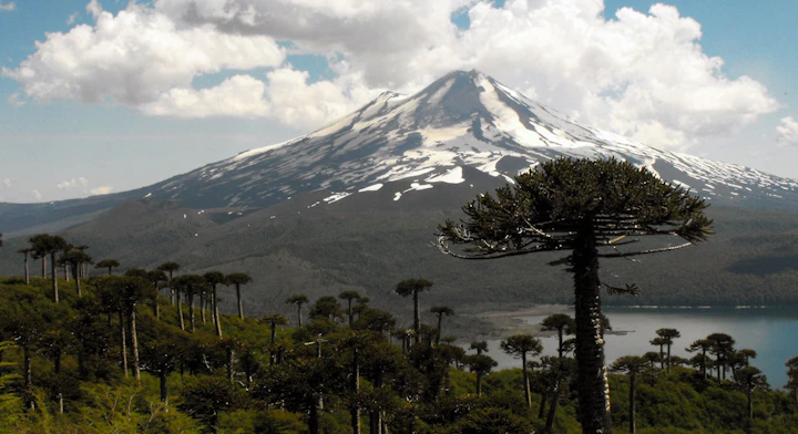 Trekking parque nacional Conguillío