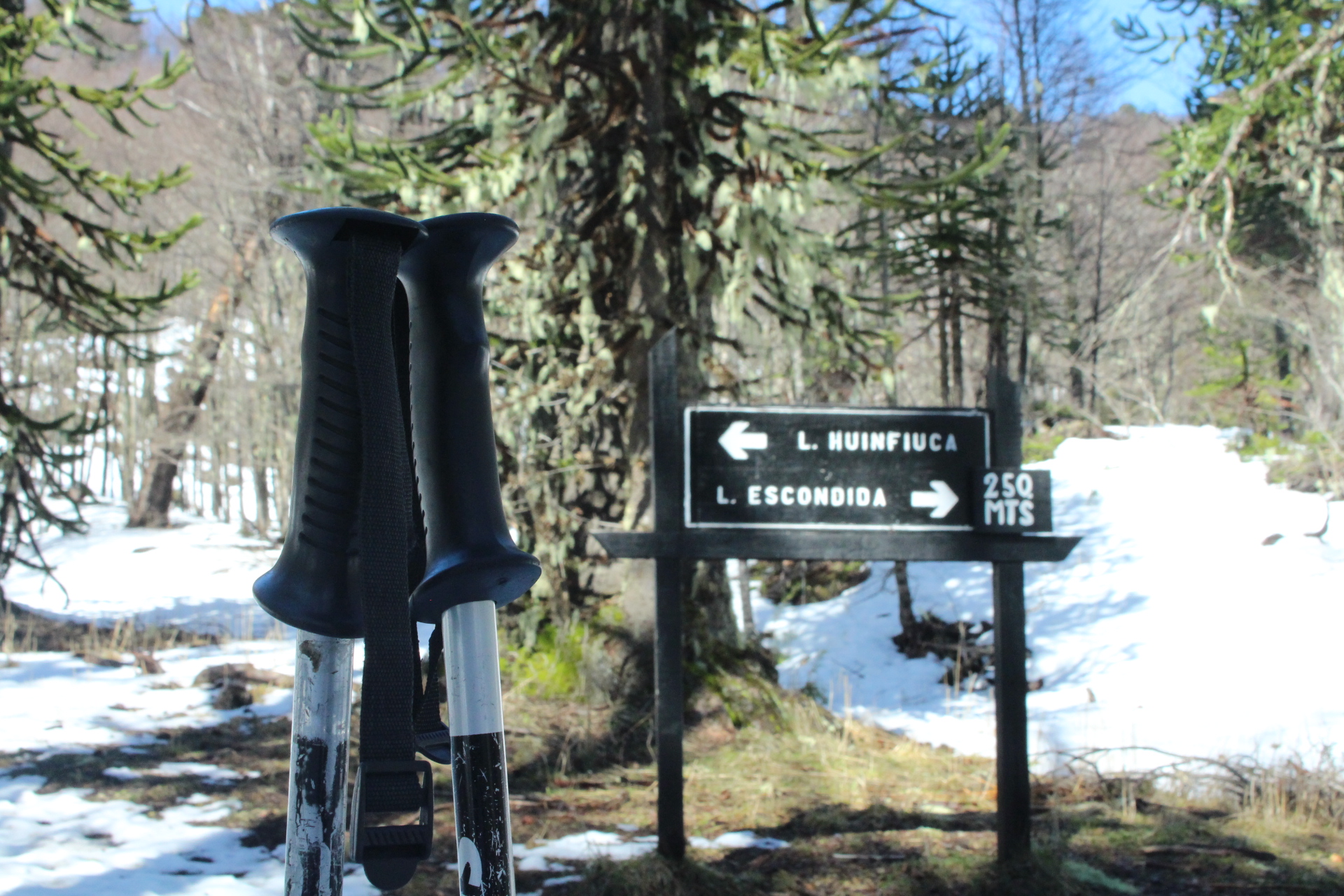 Bastones de trekking y letrero