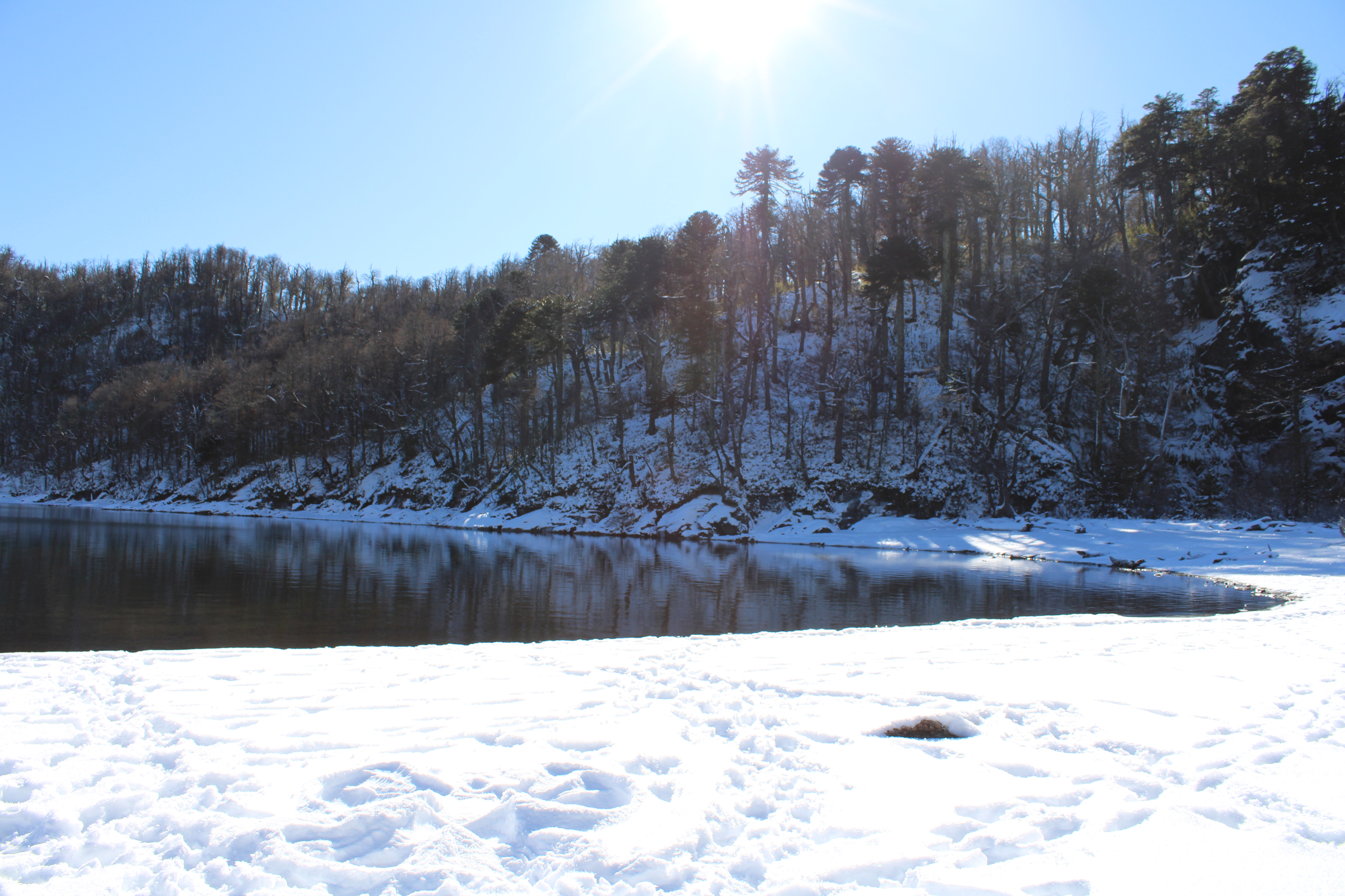 Laguna en invierno