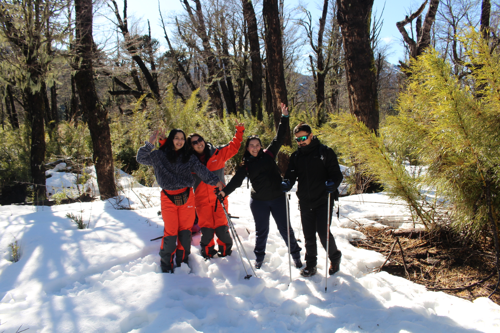 Trekking Sendero Lagos Andinos