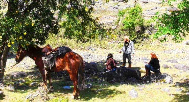 Paseo a caballo Pucón
